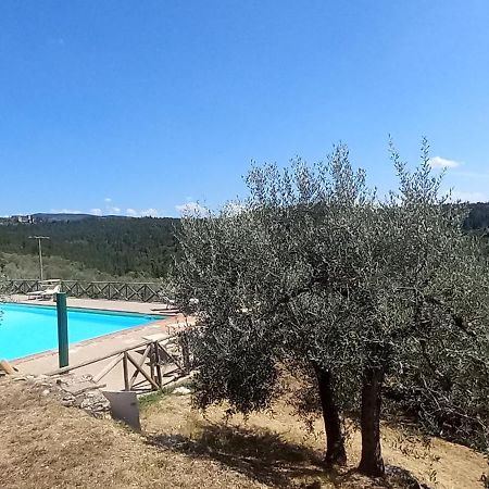 Borgo Nel Chianti Istrice Con Piscina Tennis E Wifi Castellina in Chianti Buitenkant foto