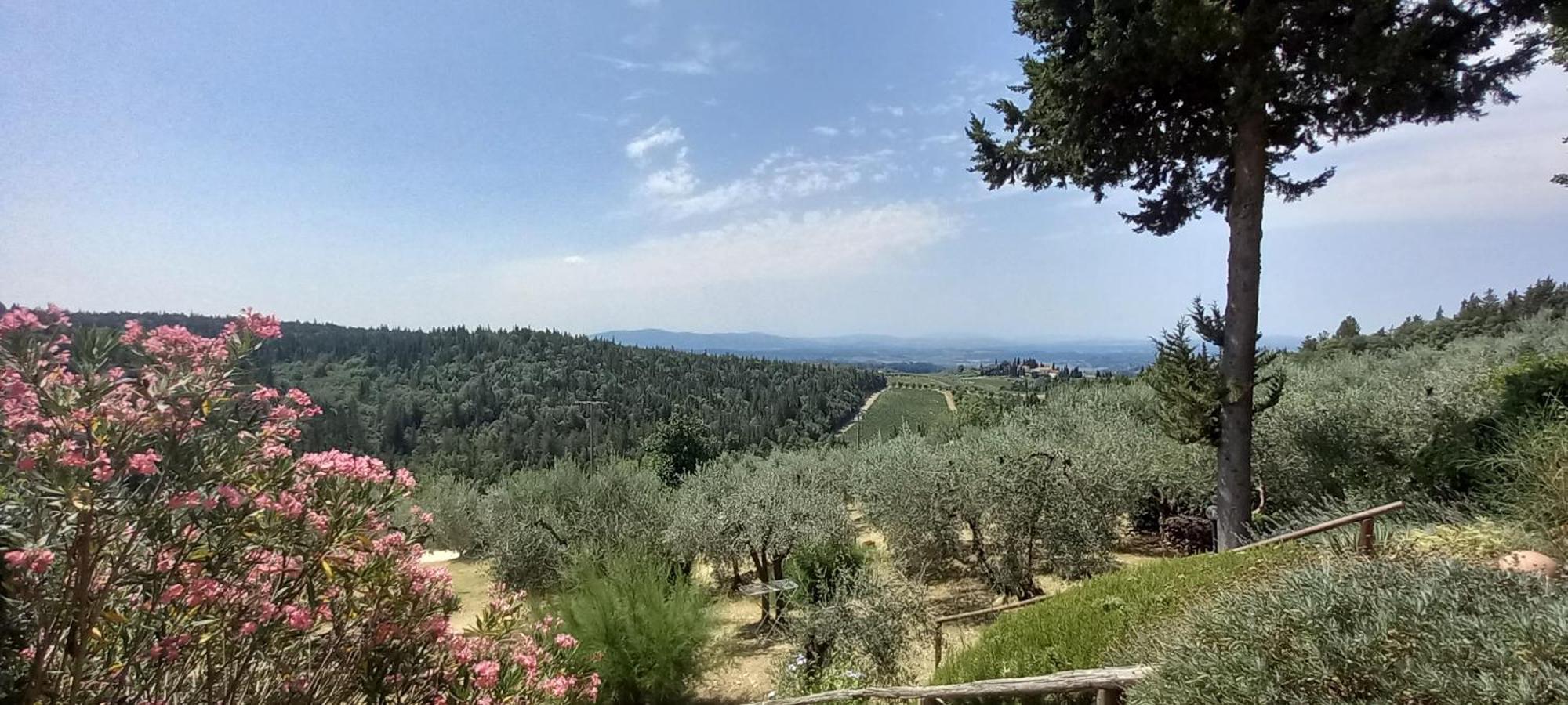 Borgo Nel Chianti Istrice Con Piscina Tennis E Wifi Castellina in Chianti Buitenkant foto