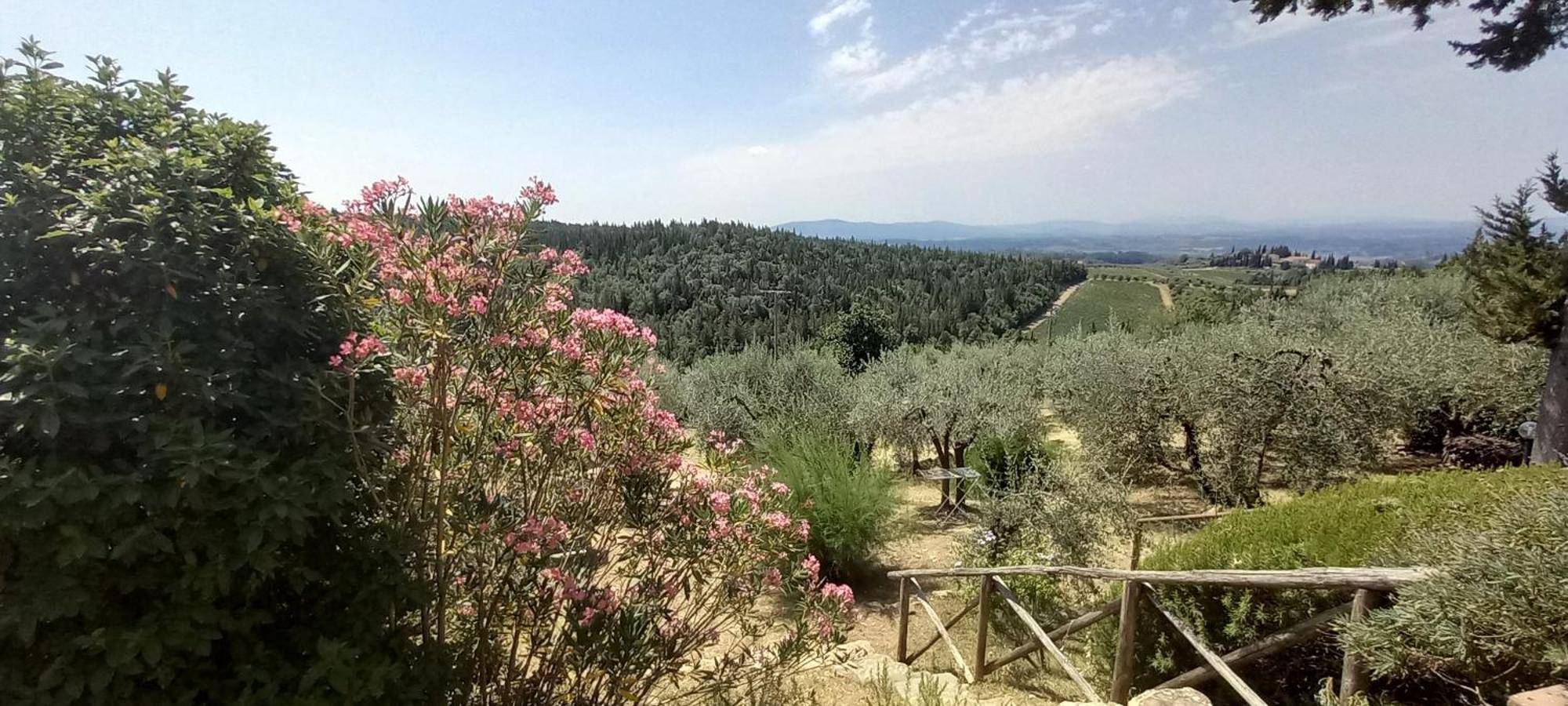 Borgo Nel Chianti Istrice Con Piscina Tennis E Wifi Castellina in Chianti Buitenkant foto